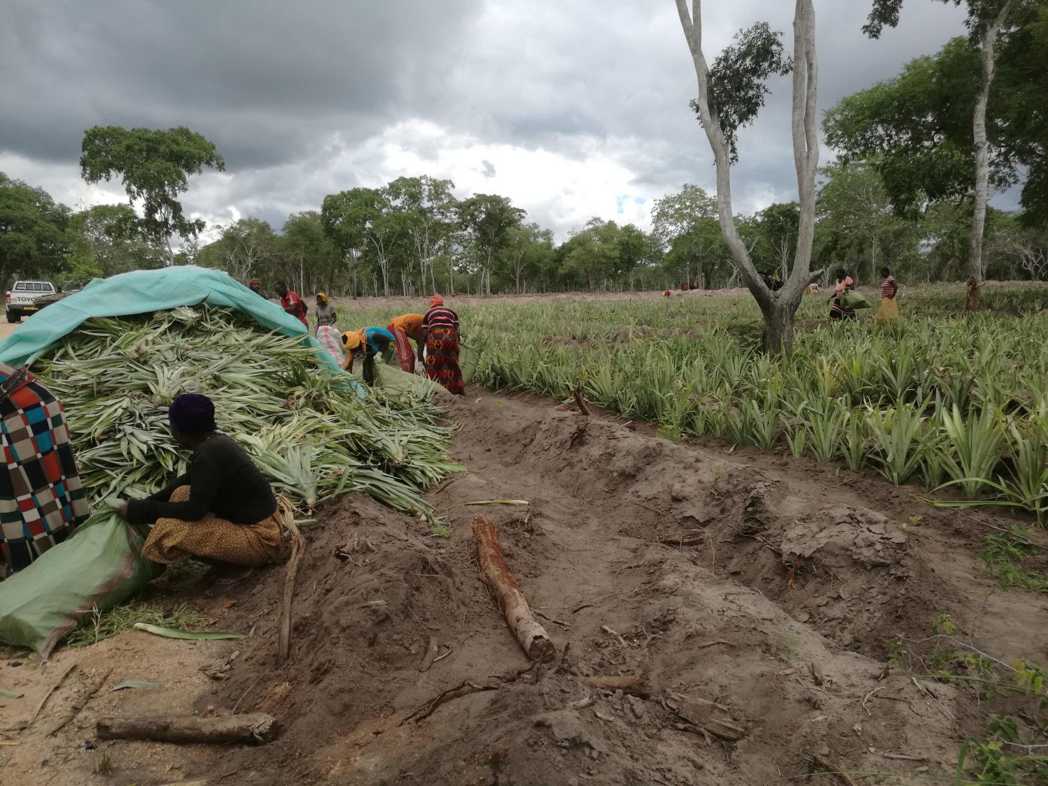 climate-change-farm working